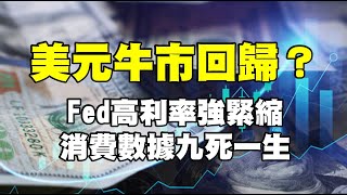 美元牛市回歸？FED高利率強緊縮 消費數據九死一生 20230517《楊世光在金錢爆》第3102集