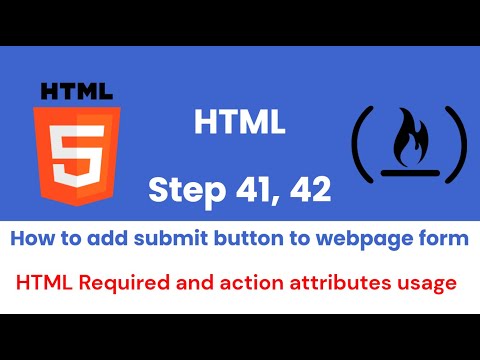 Learn free coding on freecodecamp.org | Step 41, 42 | How to add submit button to a web page form