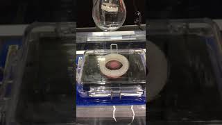 心筋シート動画【ISSCR2017】サンプラテック