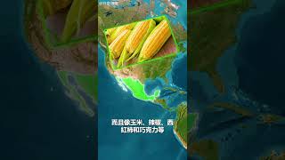 每天瞭解一個國家——墨西哥 #地理知識 #墨西哥 #shorts