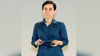 Mathematics pioneer Maraym Mirzakhani dies