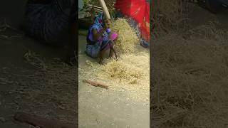 #dehativlogvideo #rknarretivlogs #myfirstvlogviral #villagelifestyle