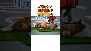 パドックで馬が寝た？前代未聞のリラックス事件#競馬 #horse
