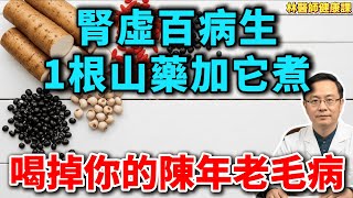 腎虛百病生！1根山藥，勝過10副藥！老中醫揭秘：加它一起吃，腎氣補滿，腰不酸腿不軟，一覺到天亮！