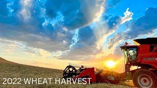 Wheat Berry Harvest 2022