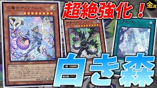 【#遊戯王】来季のTier1候補！？新弾で最強になった”白き森”を紹介【#金曜日の遊戯王CH】