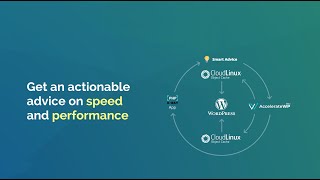 New AccelerateWP modules from CloudLinux: Object Cache | Site Optimization | SmartAdvice