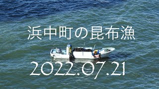 浜中町の昆布漁（2022.07.21）