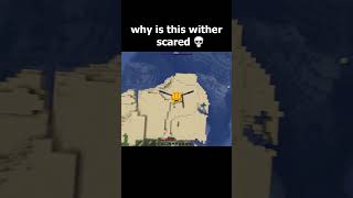Even Wither Is Scared Of Me 💀 #daquavis #minecraft #майнкрафт #dream #gaming #memes #hypixel