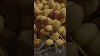 Fresh Arabians Dates at Dhaka #reelsviral #highlights #dates #freshdates #shortvideo #arabiansdates