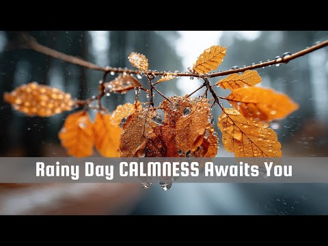 Rainy Day Relaxation: The Ultimate Sleep Soundtrack