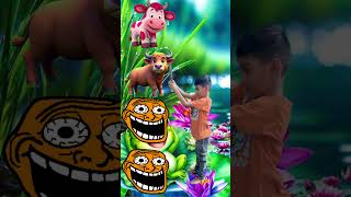 Cow Buffalo Goat And Lion🐯vfx magic video🥰😍#youtubeshorts #magicshots #shortfeed #trendingshorts