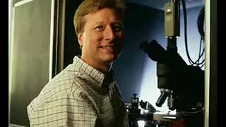 Michael Strauss PhD in Particle Physics – Virtual Particles and Special Relativity