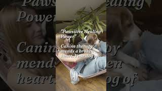 The Pawfect Guru: Your Dog Holds The Key In Love's Secrets. They Teach You To... #shorts