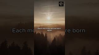 Reset Your Mind Every Morning – Rich Mindset Starts at Sunrise