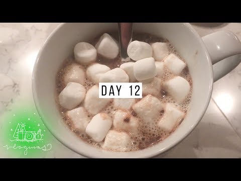 Day 12 - Vlogmas 2017 | Christmas Caroling! | Danica & Victoria