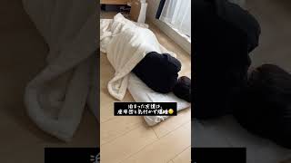 1人暮らしで友達が来た時に喜ばれるモノ3選 #shorts #一人暮らし #買ってよかった