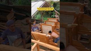 domba garut #goat #fypp #domba #shortvideo #sheep #animals #ternak #shorts #fyp