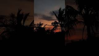 Another day,another sunset... 🌞🌆#sunsetview #song