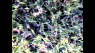 AR.Drone 2.0 Video: 2013/09/21