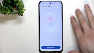 TCL 605 Fingerprint Sensor Not Working – How to Fix and Set Up Fingerprint Unlock
