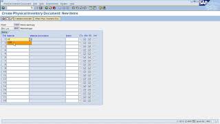 SAP MM - Physical Inventory