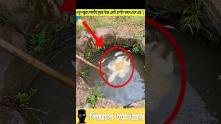 দেখুন বন্ধুরা লোকটির কুয়ার ভিতর একটি প্রাণহীন কচ্ছপ ভেসে ওঠে 😱 #turtle #sorts #story