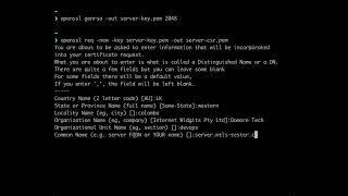 Exploring  Mutual TLS (mTLS) : Generate Server Certificates