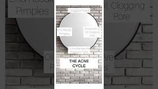 Friendly Reminder: The #acne cycle 🔁 #skincareroutine #skintips #youtuber #shortvideo #clearskin