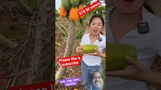 376 m views this vedio #mango #8ballpoolguideline #fruit #fruitcutting #satisfying #farming #cuelin