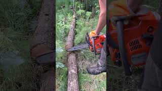 Chainsaw Husqvarna 120 Mark II #shorts #chainsaw #motorsag