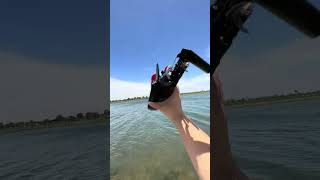 WLtoys Official - WLtoys WL916 High Performance Speed Boat