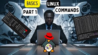 BASICS LINUX COMMANDS PART 1: ll, lscpu, lsblk, free, ping, uptime, id, top...