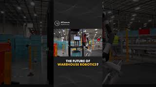 The Future of Warehouse Robotics?