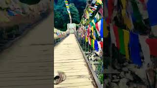 $hort$ Ride|| travel || Rimbick | srikhola | Bridge|| way to sandhakphu||