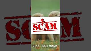 I hate Roblox scammers 😡 #roblox #robloxscammer #robloxshorts