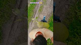 shuhani dagar mein🥰🥰 ll #vireltrend #trendingsong #bhojpurimusic #hindisong #love #virelsong #funny