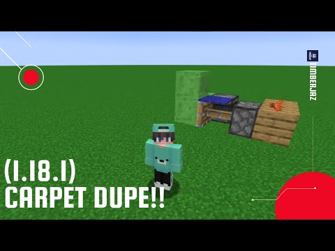 [TUTORIAL] Carpet Dupe (1.18.1)