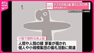 【新たに303件】ナスカの地上絵  目的も明らかに