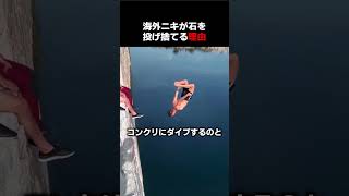 飛び込みの前に石を投げる理由 #shorts