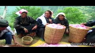 Films on Damask Rose cultivation in Uttarakhand