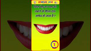 Top 50 ✍️ IAS Question🔥💯🥰 || GK Question and Answer|Part-33|#gkfacts#staticgk #bkgkstudy #gkinhindi