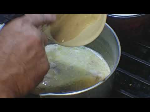 Oyster stew