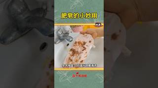 『肥皂除了洗手还能干嘛？这些妙用超神奇！🧼』#shorts  #short #subscribe #shortvideo #like #科普 #抖音 #熱門 #diy #推荐 #推薦