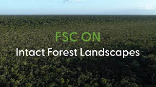 FSC on Intact Forest Landscapes