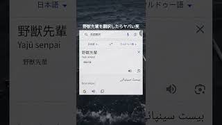 野獣先輩を翻訳すると…  #Google翻訳#ウルドゥー語#野獣先輩