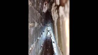 What We Found in the Wall Will Shock You!