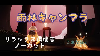 【雨林】うっとり環境音キャンマラ✨Sky