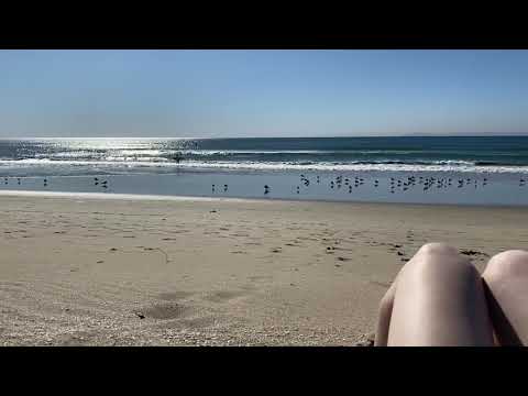 Beach Day