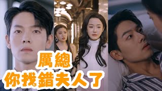 厉总你找错夫人了